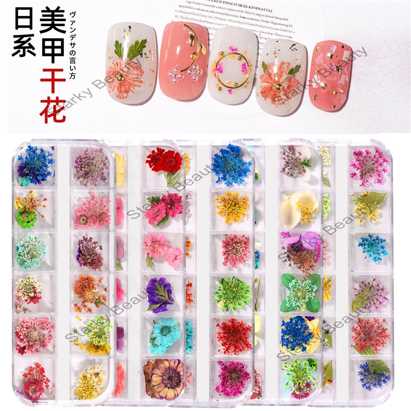 Nail Art 3D Decoration Real Dry Dried Flower for UV Gel