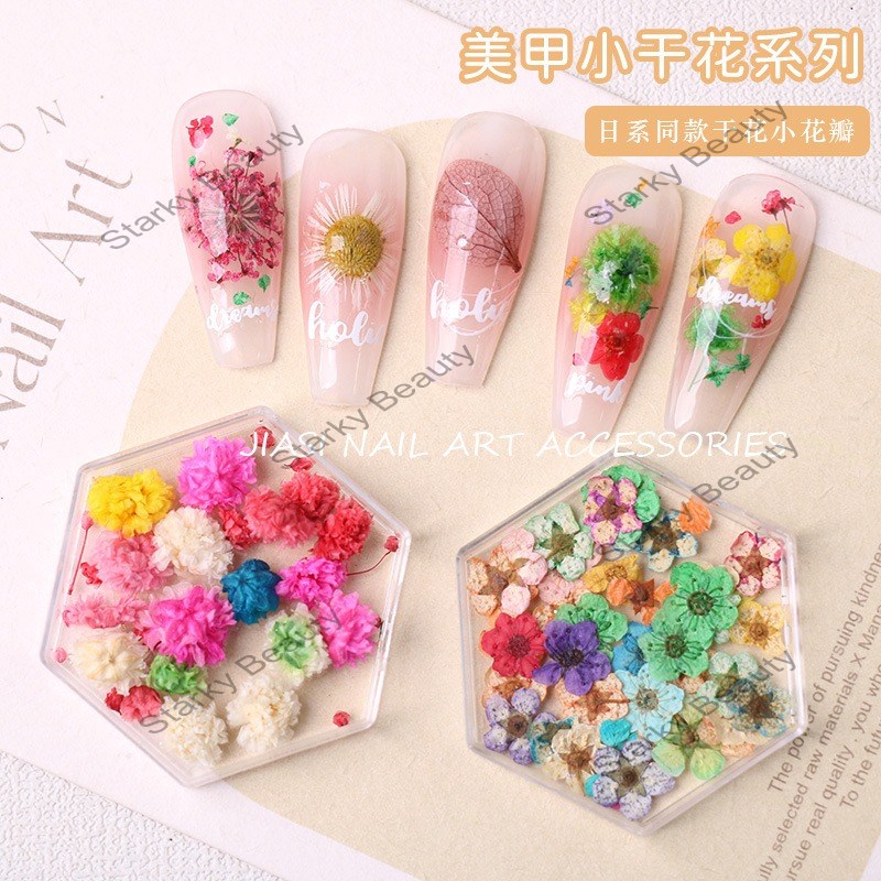 Small Fresh Dry Flower Colorful Petal Nail Decoration Nail Accessories Mixed