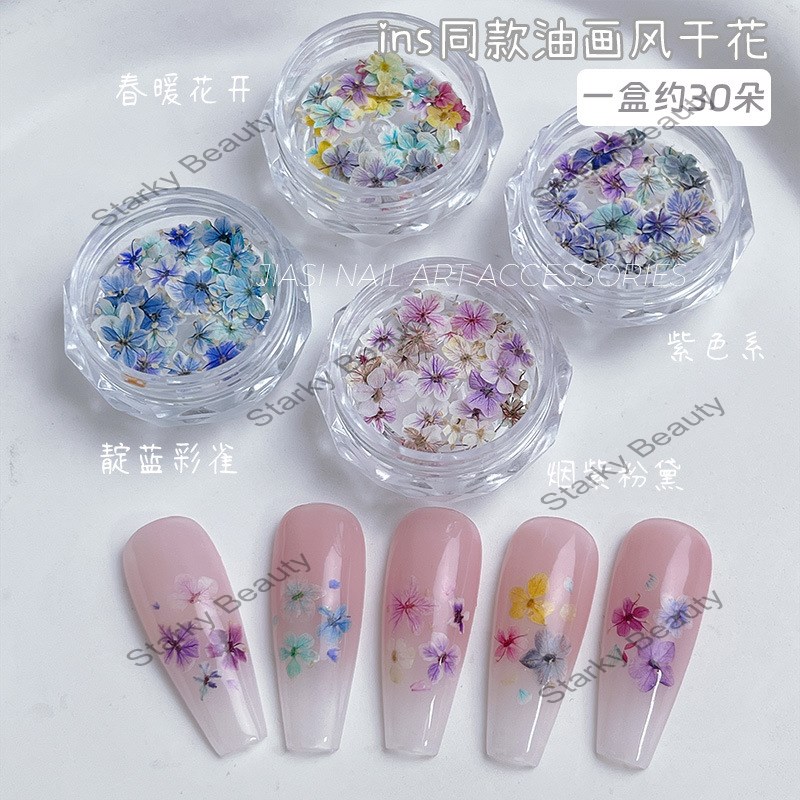 Mini nail art dry flower mixed color natural embossed flower bud wearing nail accessories