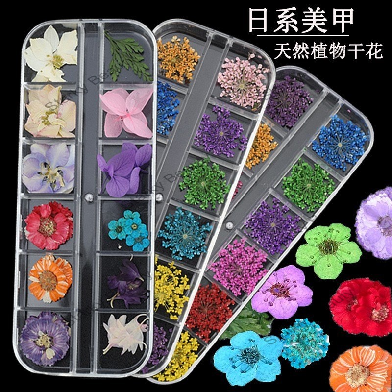 12color  dried flowers Long box jewelry