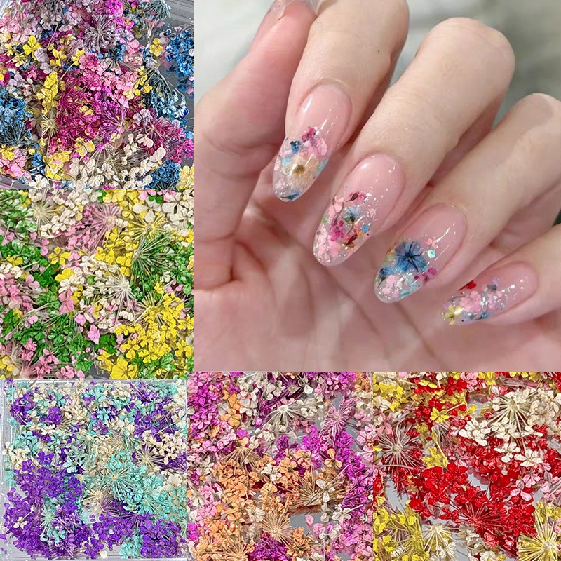 mixed dried flowers nail art decoration diy dry flower manicure decoration