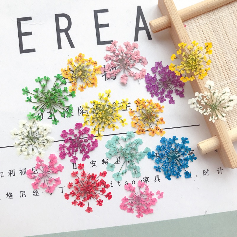 3d nail art dry snow flower colored petal  flower decoration