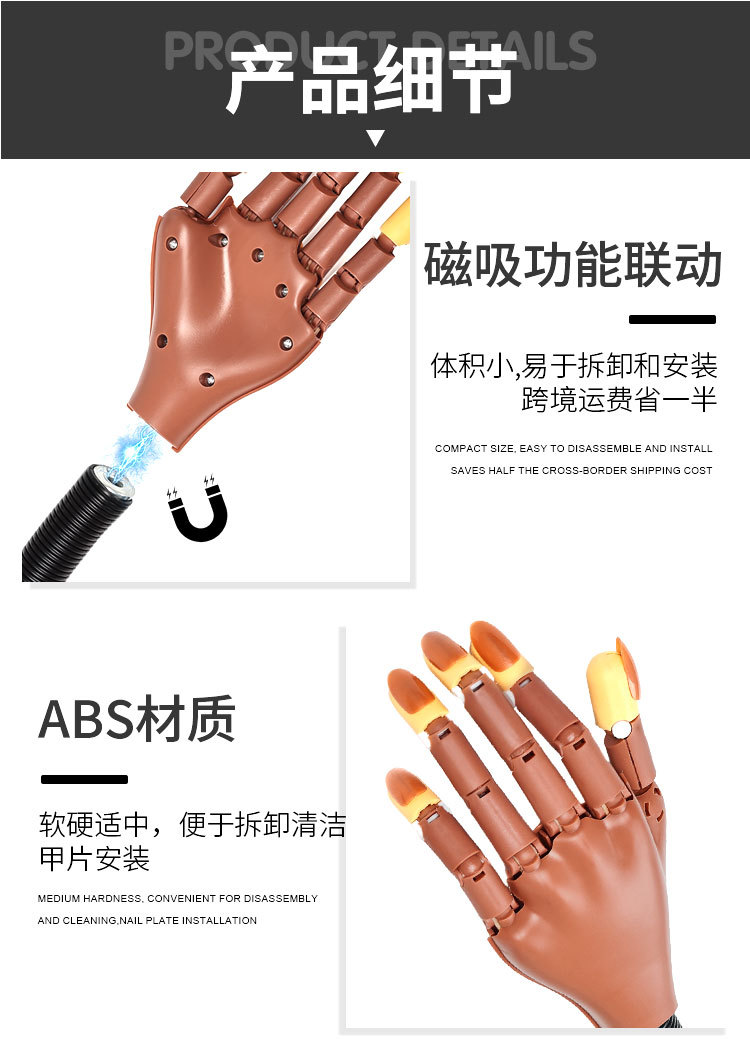 nail art magnetic suction practice, prosthetic hand model simulation, fingernail plate, hand bracket