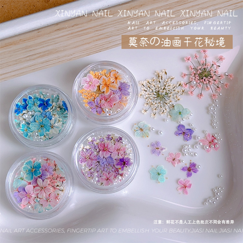nail art dry flower small floral multicolor mixed diy material natural fresh nail ornament